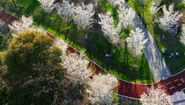 宇星颜料∣以匠心色彩，点缀宜兴城市公园之美