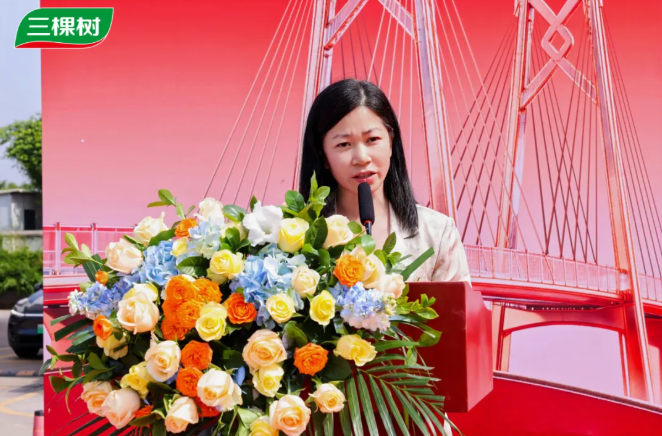 “马上住”焕新大湾区 三棵树广东80店同启