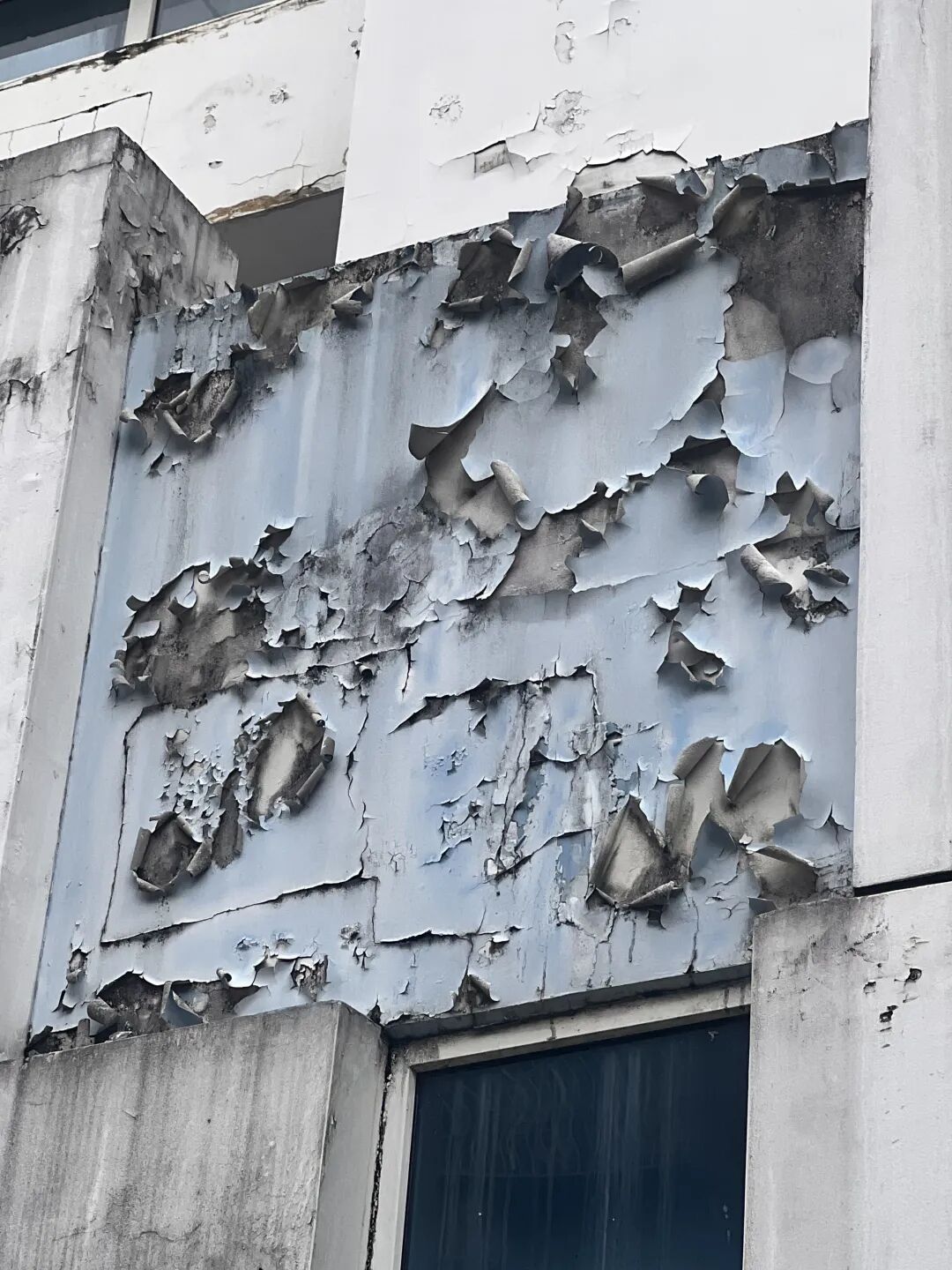 再添省级项目！美涂士何以成政务公建涂料优选？