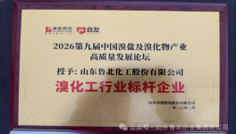 鲁北集团荣获“溴化工行业标杆企业”称号 循环经济模式