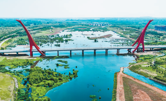 从福建走向世界：三棵树以中国漆书写高质量发展绿色答案