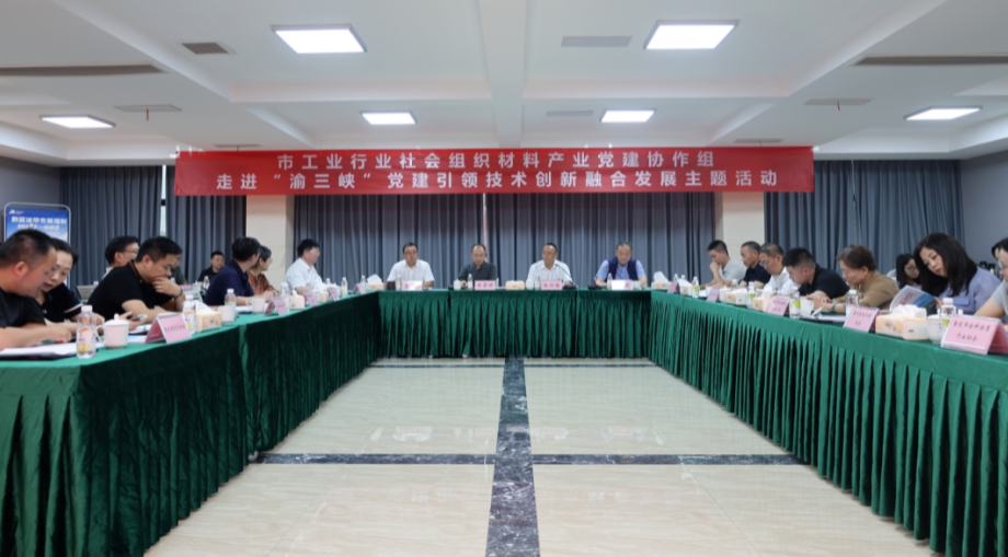 党建引领科创发展 行业调研团走进重庆三峡油漆