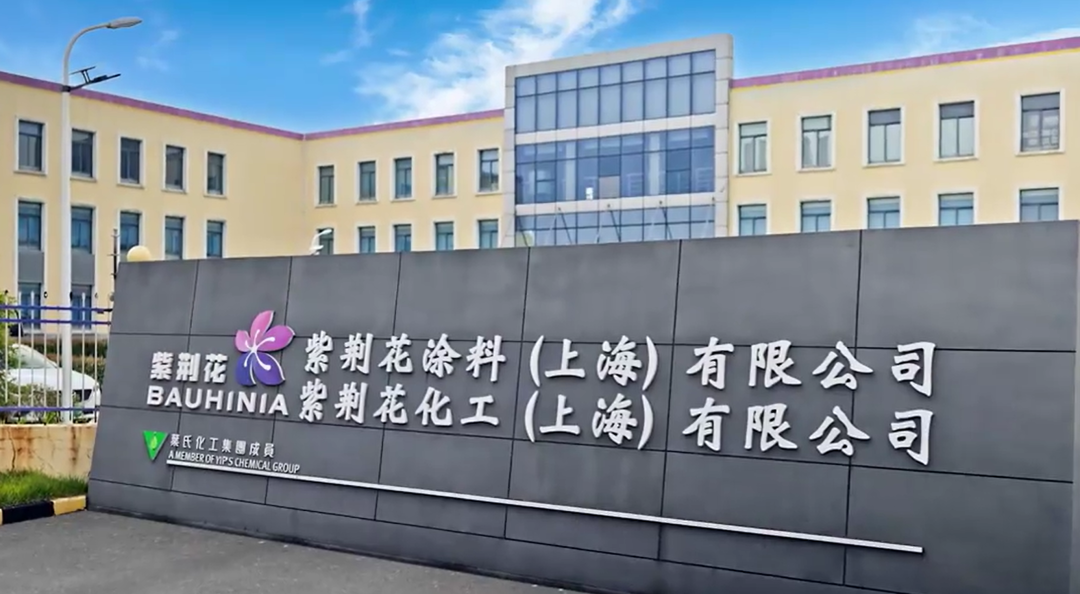 逆势增长！紫荆花：突破传统赛道局限，深耕涂料增量市场