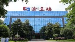 党建赋能市场拓局 渝三峡获重庆市先进基层党组织荣誉